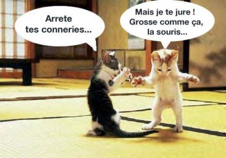 humour